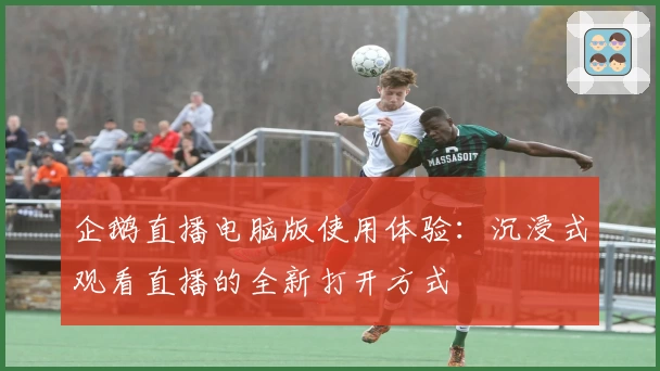 企鹅直播电脑版使用体验:沉浸式观看直播的全新打开方式