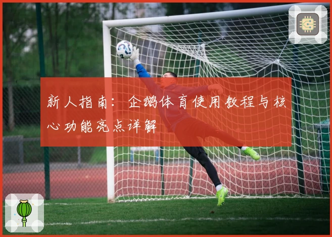 新人指南：企鹅体育使用教程与核心功能亮点详解