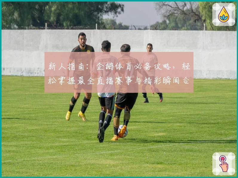 新人指南：企鹅体育必备攻略，轻松掌握最全直播赛事与精彩瞬间合集