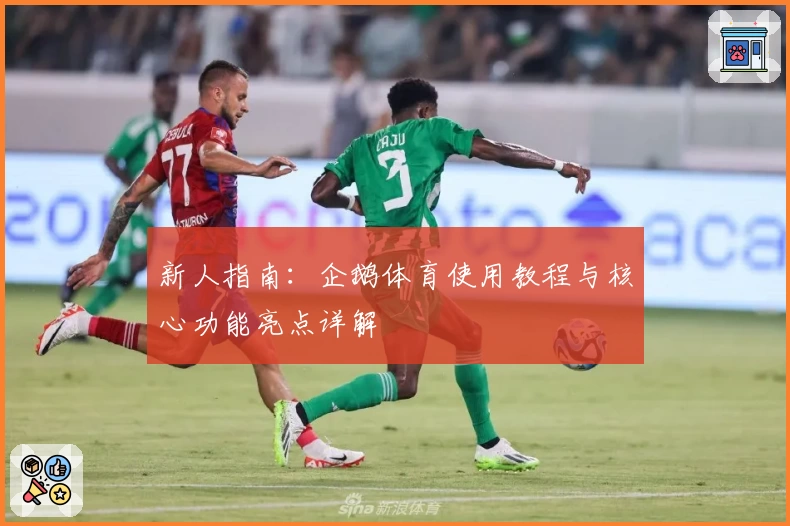 新人指南：企鹅体育使用教程与核心功能亮点详解