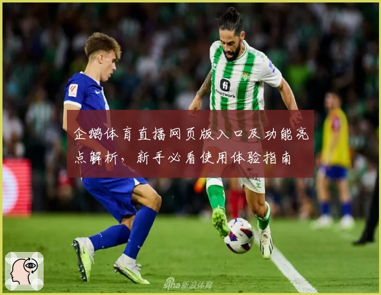 企鹅体育直播网页版入口及功能亮点解析,新手必看使用体验指南