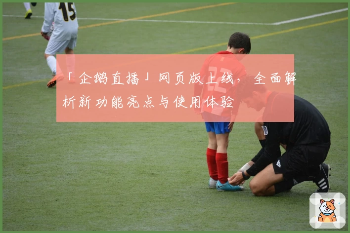 「企鹅直播」网页版上线，全面解析新功能亮点与使用体验