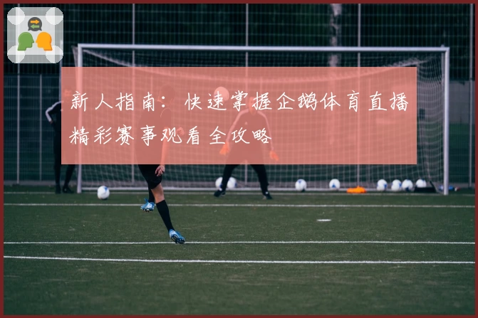 新人指南：快速掌握企鹅体育直播精彩赛事观看全攻略