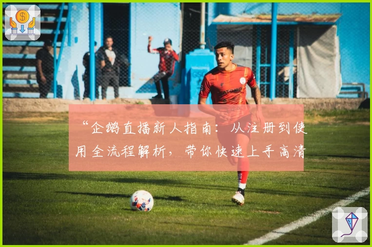 “企鹅直播新人指南：从注册到使用全流程解析，带你快速上手高清直播体验”