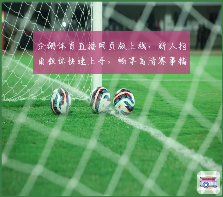 企鹅体育直播网页版上线，新人指南教你快速上手，畅享高清赛事精彩瞬间