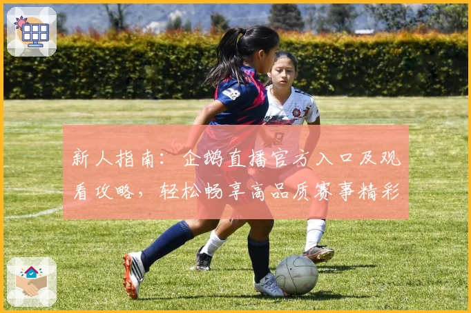 新人指南:企鹅直播官方入口及观看攻略,轻松畅享高品质赛事精彩