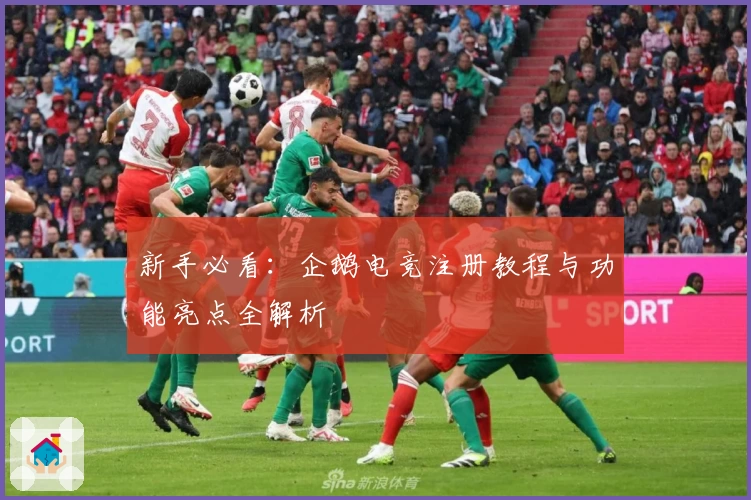 新手必看：企鹅电竞注册教程与功能亮点全解析