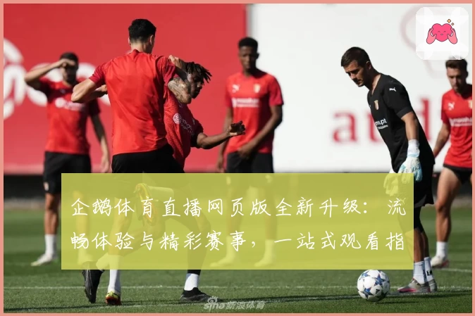 企鹅体育直播网页版全新升级：流畅体验与精彩赛事，一站式观看指南
