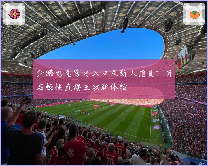 企鹅电竞官方入口及新人指南：开启畅快直播互动新体验