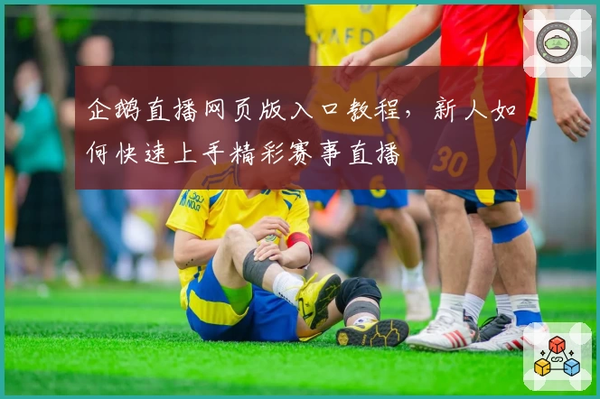 企鹅直播网页版入口教程，新人如何快速上手精彩赛事直播