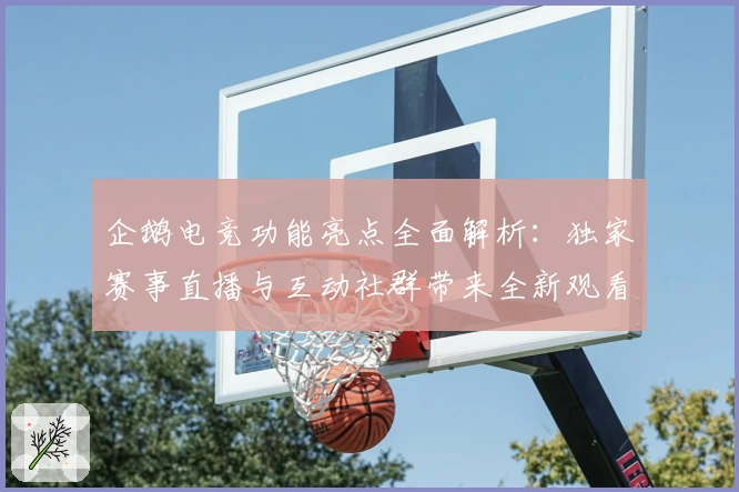 企鹅电竞功能亮点全面解析:独家赛事直播与互动社群带来全新观看体验