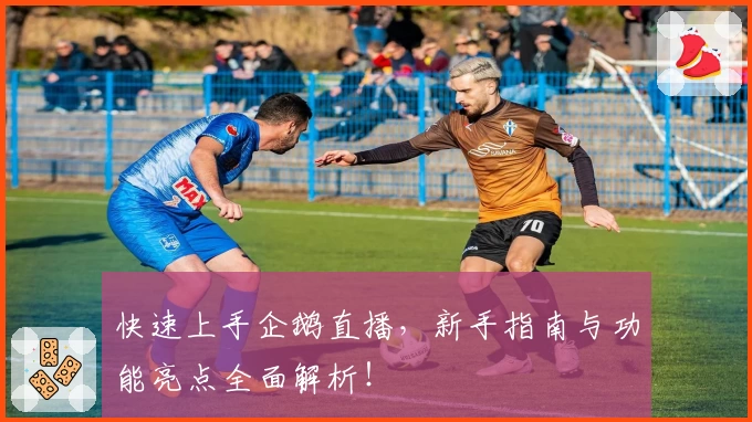 快速上手企鹅直播，新手指南与功能亮点全面解析！